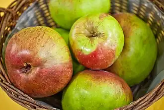 Rheinischer Winterrambour