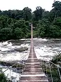 Cross River-Korup-Takamanda (CRIKOT)