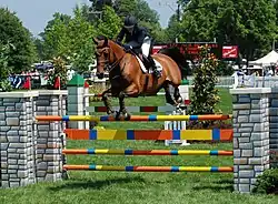 Margie Goldstein-Engle auf Coraya Z (Juni 2009)