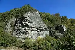 Schwammriff-Massenkalkfazies "Markgrafenstein" bei Streitberg/Oberfranken