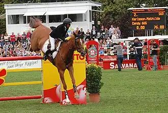 Die Reiterin und ihr fuchsfarbenes Pferd überwinden von links kommend einen Steilsprung. Sie befinden sich noch in der Luft, kurz bevor die Vorderhufe den Boden des Grasplatzes wieder erreichen werden. Im Hintergrund befinden sich eine voll besetzte Tribüne, ein Richterhaus und eine Anzeigetafel.