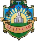 Wappen von Matussiw