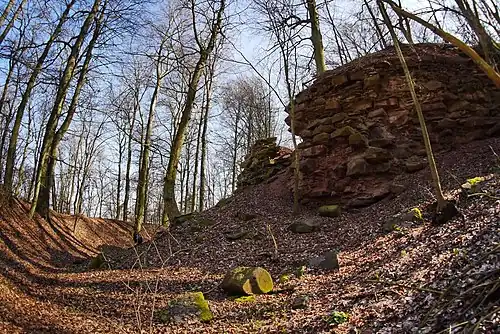 Mauerreste der Burg Hohenlandsberg