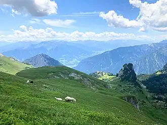 Mauritzalm von Norden auf einem Absatz unter dem Gschöllkopf
