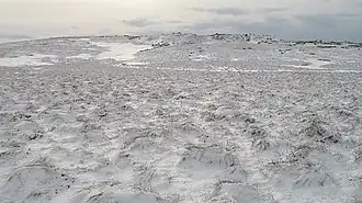 Mealowther im Winter