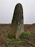 Menhir in Saint-Norgant