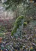 „Der Stein“ – Menhir im Wald von Dossenbach