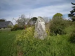 Menhir de Kervéniou