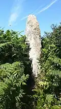 Menhir von Luguénez