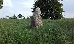 Menhir de l'Ansaudière
