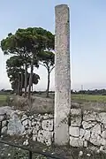 Menhir delle Franite