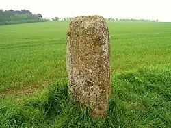 Menhir des Planches mit Schälchen auf der Oberseite