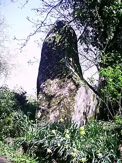 Menhir Le Perron