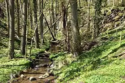 Mergbach bei Winterkasten (2021)