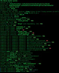 Meson beim Kompilieren eines Programmes