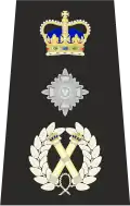 Metropolitan Police Commissioner of the Metropolis Epaulette