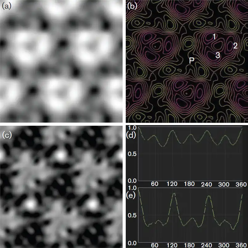 (a) Korrelationsmittelung (correlation averaging[23]) des gefriergeätzten S-Layers. Darstellung der Proteinuntereinheiten (weiße Bereiche) und Poren (graue & schwarze Bereiche). (b) Reliefrekonstruktion des gemittelten Bildes aus (a). Die Elementarzelle des Kristalls besteht vermutlich aus einem Trimer von Proteintrimeren (eines davon markiert: 1–3). Erhöhte Bereiche sind violett & rot, tiefe Bereiche gelb markiert, sie zeigen einen dreieckigen Hohlraum oder Pore (P). (c) Korrelationsmittelung des negativ gefärbten S-Layers. Ähnlich wie in (a) werden die Proteine durch weiße & hellgraue Bereiche und die mit Uranylacetat gefüllten Hohlräume durch dunkelgraue & schwarze Bereiche dargestellt. (d,e) zeigen die Bestimmung der S-Layer-Symmetrie der Elementarzellen in (a) bzw. (c). Die Bilder wurden in 5°-Schritten gekippt; die Korrelation mit dem ursprünglichen, nicht gekippten Bild (auf 1) ist gegen den Kippwinkel aufgetragen.