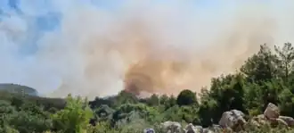 Waldbrände in Milas