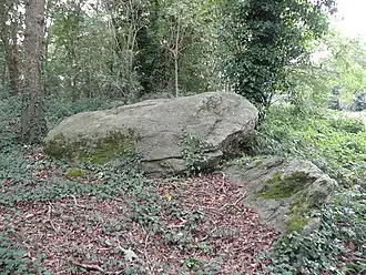 Allée couverte Four-ès-Feines