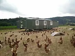 Mobilstall für 900 Freilandhennen von farmermobil