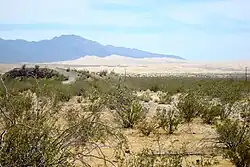 Blick auf die Kelso Dunes und die Granite Mountains