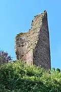 Ruine der Burg