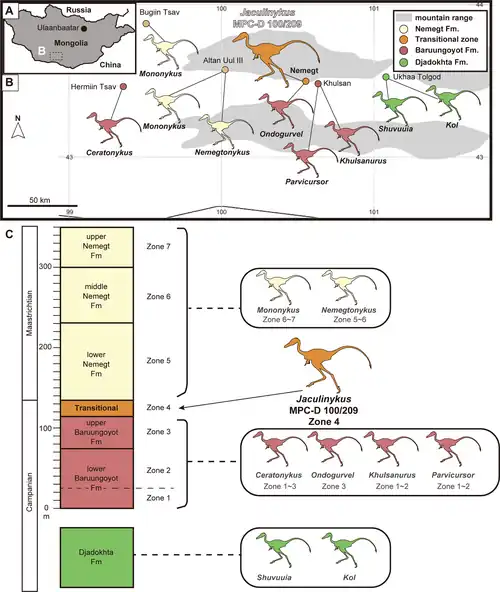 Vorkommen von Alvarezsauriden in der Mongolei (Jaculinykus in der Mitte, Zone 4)