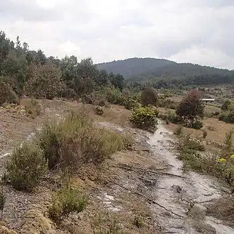 Mont Heha, der höchste Berg Burundis