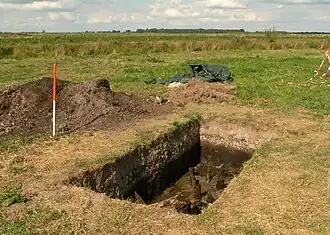 Ein weiterer Grabungsschnitt mit freigelegten Palisadenpfählen