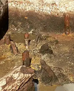 Im Boden steckende Palisadenreste