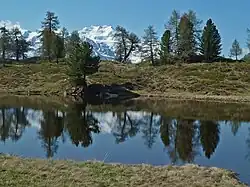 Temporärer See in der Moosalp mit Mischabelgruppe