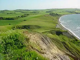 Die Knochenfischfossilien des westlichen Limfjordes: Evolution und Klimaanpassung im frühesten Eozän