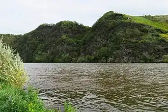 Die Moselloreley vom Ufer in Reinsport aus gesehen.