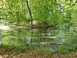 Motte Broichhausen bei Kircheib