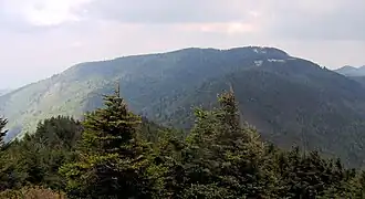 Blick auf den Mount Mitchell vom Mount Craig