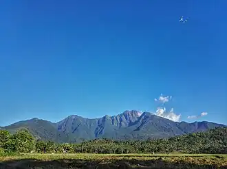 Der Guiting-guiting in der Bildmitte