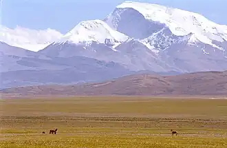 Gurla Mandhata von Norden; Tibet-Wildesel im Vordergrund
