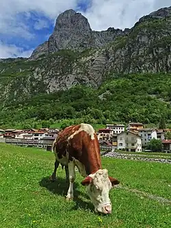 Timau mit der Gamspitz 1848 m