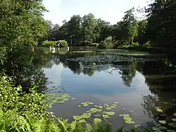 Mühlenteich der Örtze in der Nähe des Ortszentrums