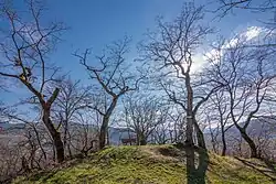 Narrenstein Hexenplatz