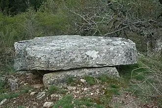 Dolmen du Devès de Félines