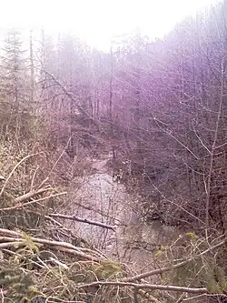 Zwischen Mühlrüti und Fischingen