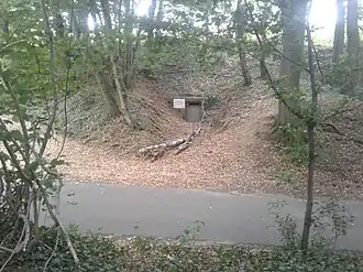 Stollen der als Überwinterungsquartier für Fledermäuse dient