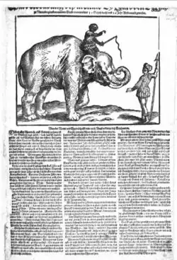 Ware Abbildung deß in Anno 29 Jars den 2 May zu Nurmberg ankommenten Elephanten moderates Oberdeutsch mit mitteldeutschem Einfluss (1629)