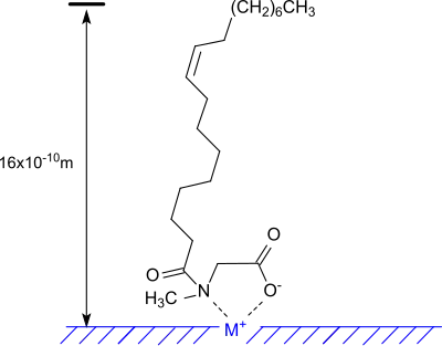 Adsorption von N-Oleoylsarcosin an Metalloberflächen