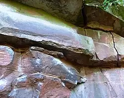 Aufgeschlossene Felswand (Mittlerer Buntsandstein, sm2) am Riesenstein mit horizontalen Schichtlagen