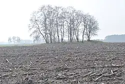 Großsteingrab Engeo 2