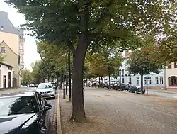 In der Mitte ist ein Fußweg (breiter Kiessandstreifen), links und rechts davon Baumreihen mit Linden, daneben die Fahrbahn mit parkenden Autos.