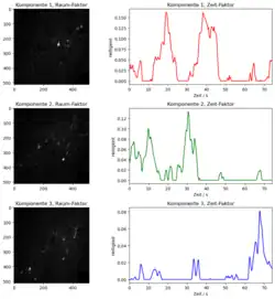 Ergebnis der NMF sind sechs Komponenten, die jeweils einen zeitlichen und einen räumlichen Faktor haben. Hier sind drei Komponenten gezeigt, die jeweils Gruppen von gemeinsam feuernden Neuronen darzustellen scheinen.
