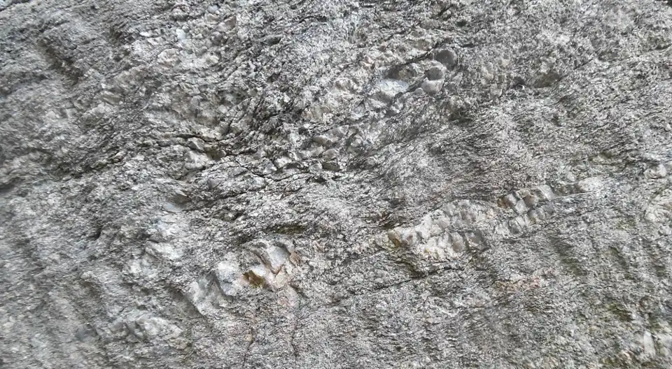 Detailansicht des Aufschlusses an der Post. Gut zu erkennen die steil nach rechts einfallende Abschiebungskrenulation.